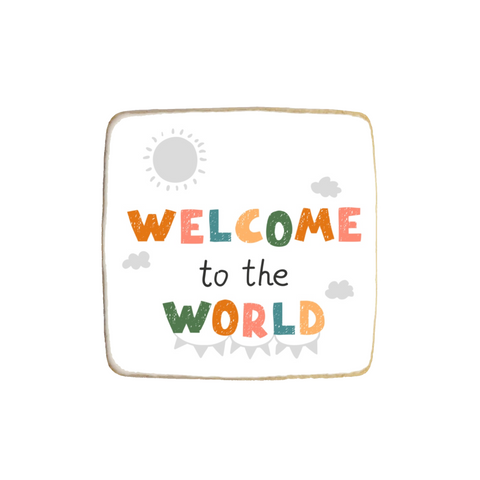 "Welcome to the World" Custom Cookie